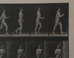 Animal Locomotion Eadweard Muybridge 1887 Plate 10 - 4006350