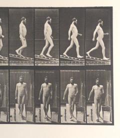 Animal Locomotion Eadweard Muybridge 1887 Plate 113 - 4003479