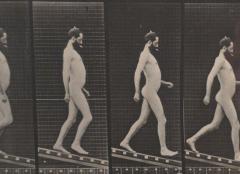 Animal Locomotion Eadweard Muybridge 1887 Plate 113 - 4003480