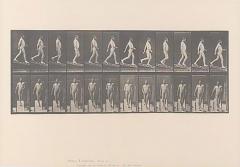 Animal Locomotion Eadweard Muybridge 1887 Plate 113 - 4003549