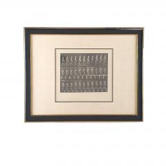 Animal Locomotion Eadweard Muybridge 1887 Plate 88 - 4006420