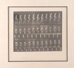 Animal Locomotion Eadweard Muybridge 1887 Plate 88 - 4006421