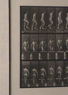 Animal Locomotion Eadweard Muybridge 1887 Plate 88 - 4006423