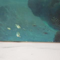 Anthony Casay Anthony Casay Signed Marine Life Painting 1989 - 2797114