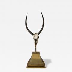 Anthony Redmile Ibex Skull on Stand by Anthony Redmile - 4017933