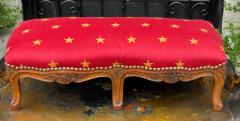 Antique 19 C French Provincial Ottoman Low Foot Stool - 2732171
