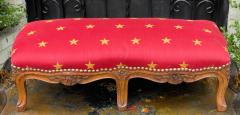 Antique 19 C French Provincial Ottoman Low Foot Stool - 2732185