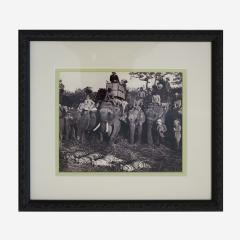 Antique 1930s Photos of a Tiger Hunt in Colonial India - 2644046