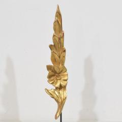 Antique 19th Century Italian Carved wood Baroque Style Ornaments Circa 1850 - 4509002