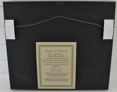 Antique 38 Star American Flag Framed - 2597827