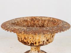 Antique Cast Iron Urn English Classically Styled Planter Victorian 19th Century - 4164213