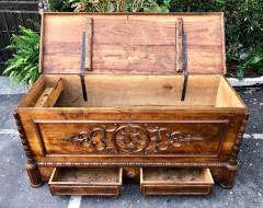 Antique Early 18c Portuguese Carved Walnut Blanket Chest - 1963205