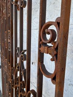 Antique French Colonial Wrought Iron Architectural Garden Gates or Door Guards - 4032905