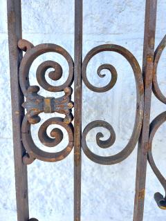 Antique French Colonial Wrought Iron Architectural Garden Gates or Door Guards - 4032906