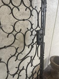 Antique French Wrought Iron Entry Gate - 4210487