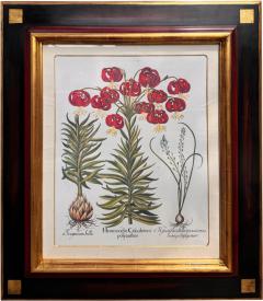 Antique German School Botanical Engraving Print - 3639773