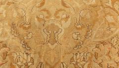 Antique Indian Amritsar Botanic Brown Hand Knotted Wool Carpet - 2461175