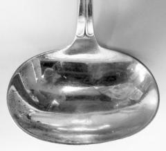 Antique Japanese Meiji Silver Blossoming Branch Sauce Ladle - 3798515