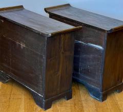 Antique Japanese Tansu Cabinets - a Pair