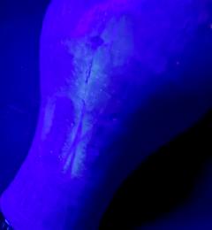 Antique Korean Celadon Ceramic Meiping Vase with Slip Inlay Goryeo Dynasty - 4439897