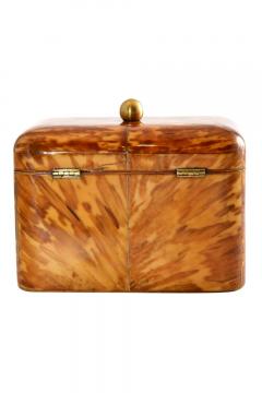 Antique Regency Blond Tortoiseshell Tea Caddy England 1840 s - 3619191