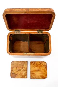 Antique Regency Blond Tortoiseshell Tea Caddy England 1840 s - 3619249