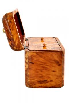 Antique Regency Blond Tortoiseshell Tea Caddy England 1840 s - 3619276