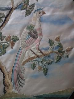 Antique Silkwork Embroidery of a Bird of Paradise - 2006310