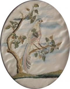 Antique Silkwork Embroidery of a Bird of Paradise - 2010155