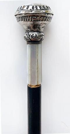 Antique Sterling Silver Mother of Pearl Ladies Walking Stick 19th Century - 3589999