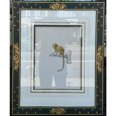Antique Trobridge Gallery C 1824 Monkey Engraving Print W Chinoiserie Frame - 3536792