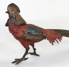 Antique Vienna Cold Painted Bronze Pheasants a Pair - 3556181