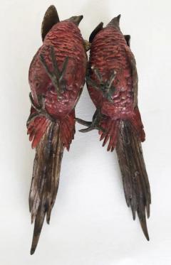 Antique Vienna Cold Painted Bronze Pheasants a Pair - 3556188