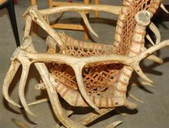 Antler armchairs with leather strappings - 3021728