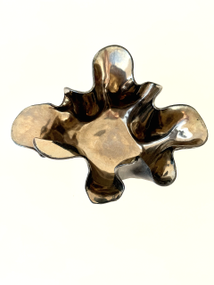 Aram Chenensky Organic Shaped Ceramic Bowl in Platinum by Aram Chenensky - 4030842