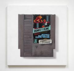 Arlo Sinclair Donkey Kong Natures Revenge NES - 3569511
