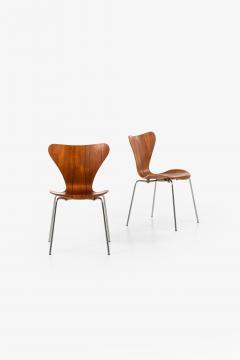Arne Jacobsen Dining Chairs Model 3107 Produced by Fritz Hansen - 1890637