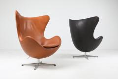 Arne Jacobsen Egg chair by Arne Jacobsen for Fritz Hansen 2009 - 1216515