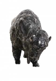 Arnold Goldstein Buffalo - 3941129