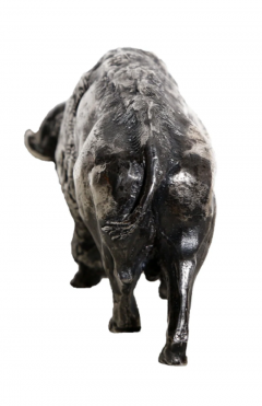 Arnold Goldstein Buffalo - 3941130