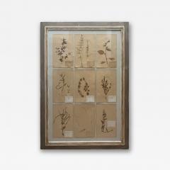 Art Deco Set of 9 Framed Pressed Botanicals - 4104395