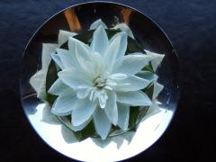 Art Deco Silver Compote with Ebony Detail - 384221