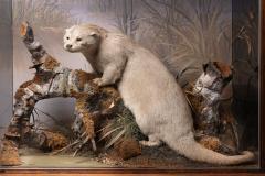 Artful Diorama with full mount European Otter Lutra lutra  - 1980921