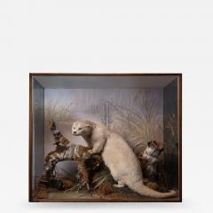 Artful Diorama with full mount European Otter Lutra lutra  - 1985908