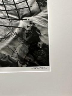 Arthur Tress Framed Editioned Photograph Raking Leaves Arthur Tress - 3243040