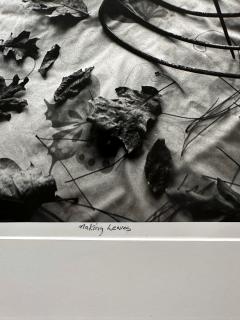Arthur Tress Framed Editioned Photograph Raking Leaves Arthur Tress - 3243041
