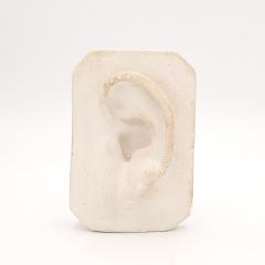 Artists Plaster Model of an Ear circa 1880 - 3928728