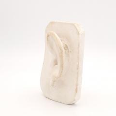 Artists Plaster Model of an Ear circa 1880 - 3928731