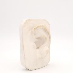 Artists Plaster Model of an Ear circa 1880 - 3928733