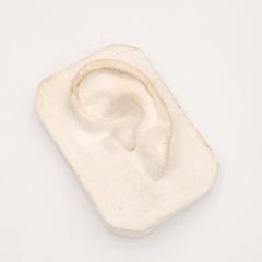 Artists Plaster Model of an Ear circa 1880 - 3928735